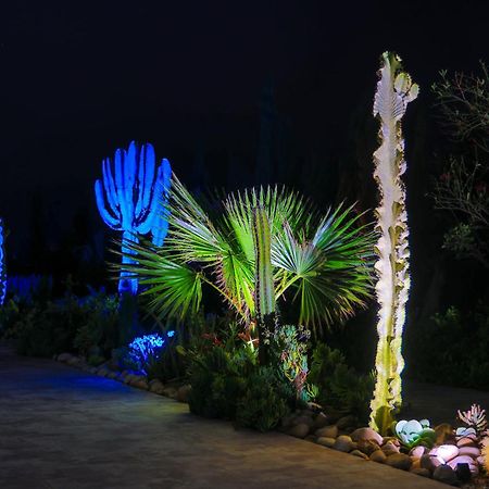 Villa Arganina Piscine Chauffee エッサウィラ エクステリア 写真