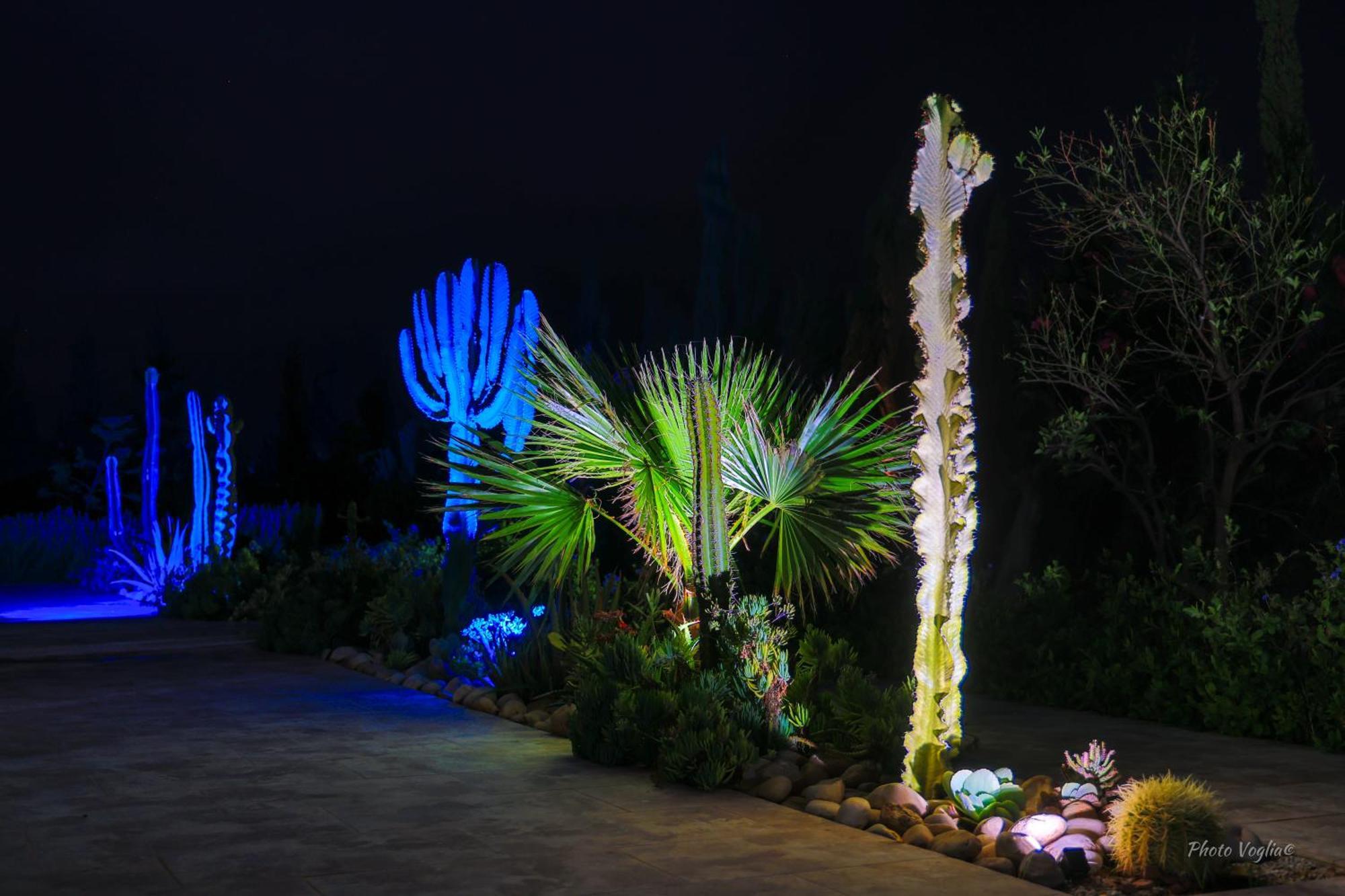 Villa Arganina Piscine Chauffee エッサウィラ エクステリア 写真